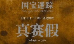 国宝迷踪在线观看,揭秘千年宝藏的神秘之旅